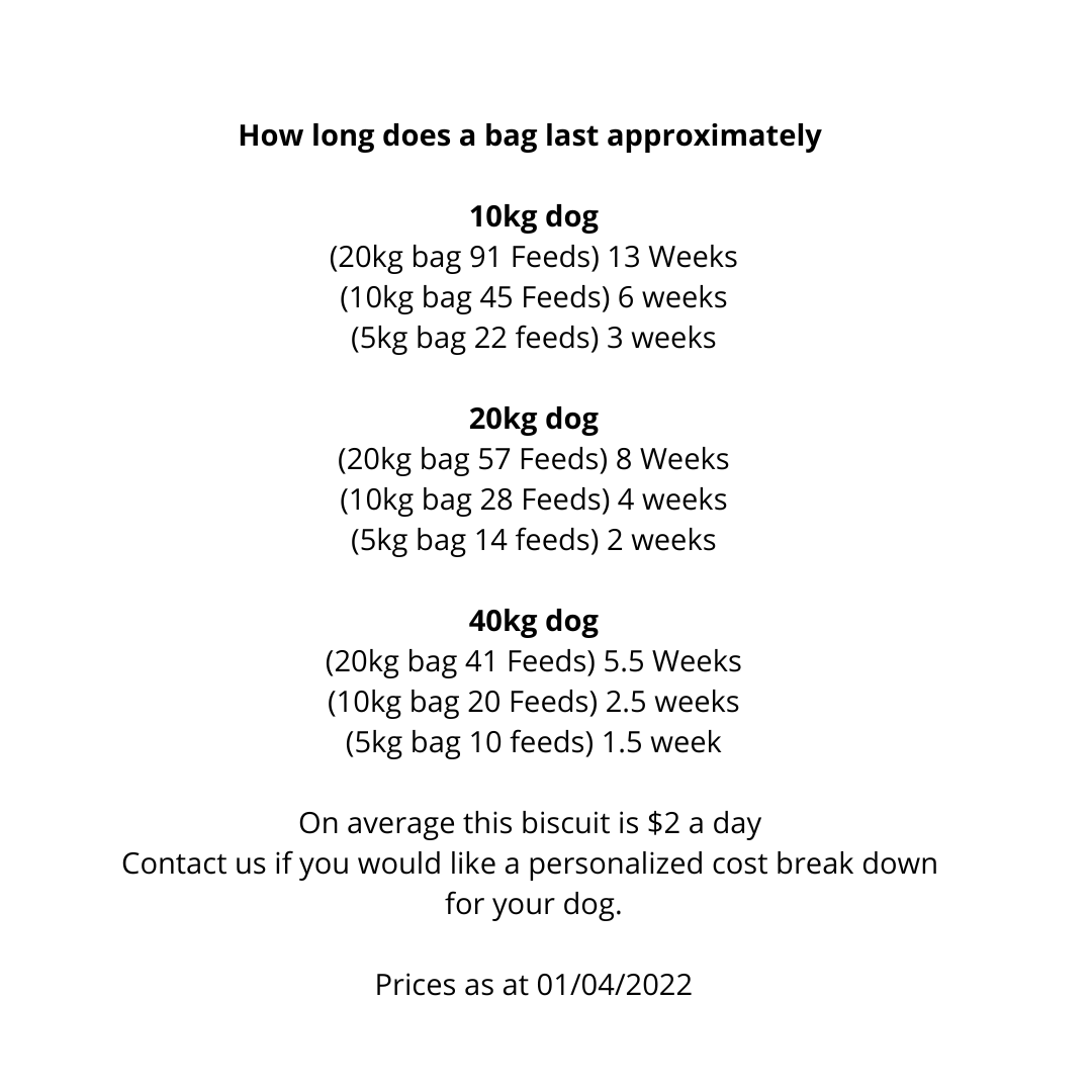 Mighty Mix Dog Biscuits - Large