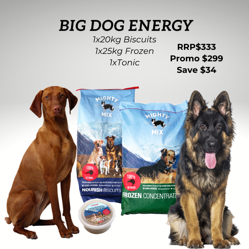 Big Dog Energy - Limited Stock!