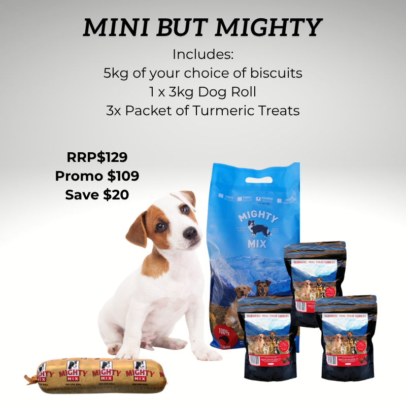 Mini BUT Mighty! - Limited Stock!