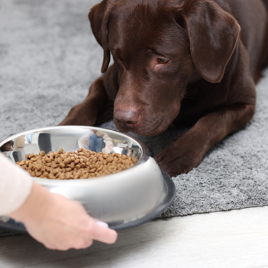 Free - Personalized Cost Breakdown