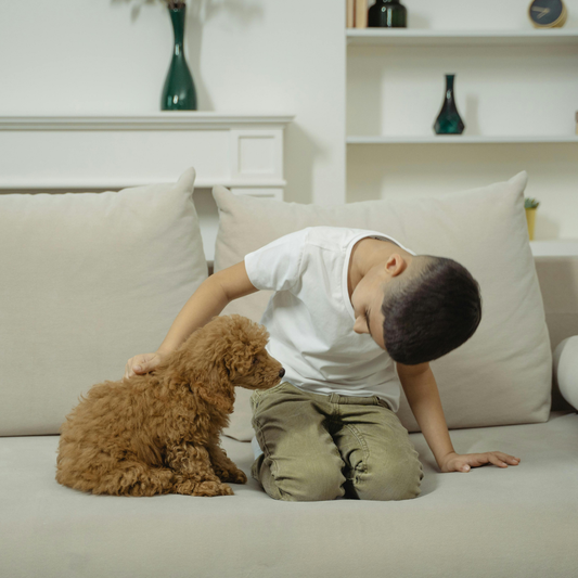 Help! - I'm a new dog parent