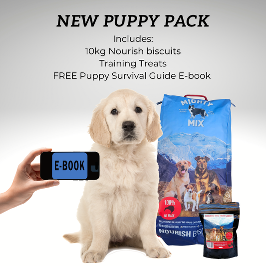 New Puppy Starter Pack